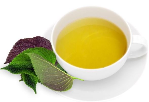 Da trắng căng mướt, sạch mụn sần nhờ 10 lá tía tô