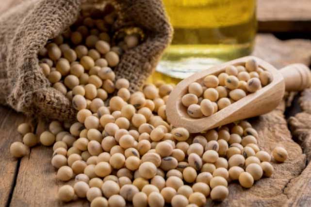 7 loại thực phẩm chứa collagen dồi dào hơn cả mỹ phẩm, chị em nên bổ sung