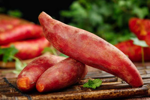 Người Nhật xem đây là củ trường thọ, ở Việt Nam bán la liệt lại dễ chế biến