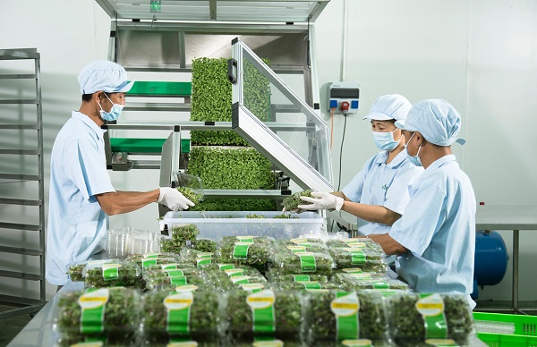 Kêu gọi ủng hộ lập Đề án Mạng lưới doanh nghiệp kinh doanh liêm chính Việt Nam
