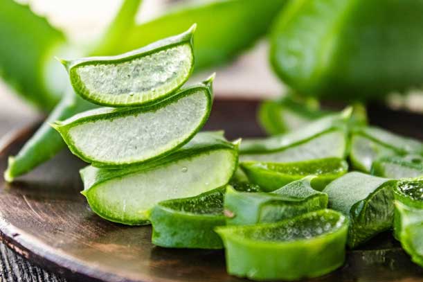 Chỉ với vài nhánh nha đam, bạn sẽ xóa tan được nỗi lo da sạm đen mụn chi chít