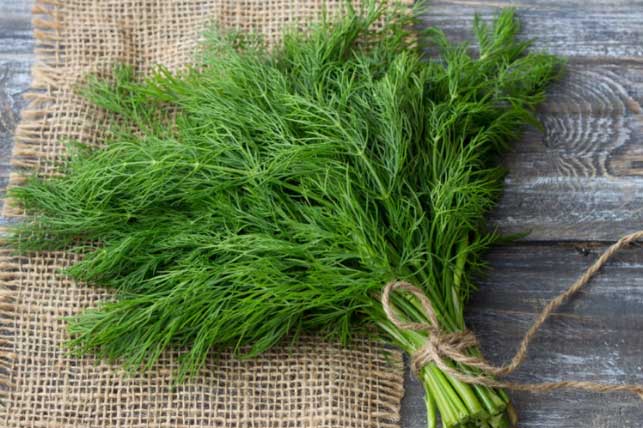 10 loại thực phẩm hỗ trợ điều trị viêm loét dạ dày hiệu quả