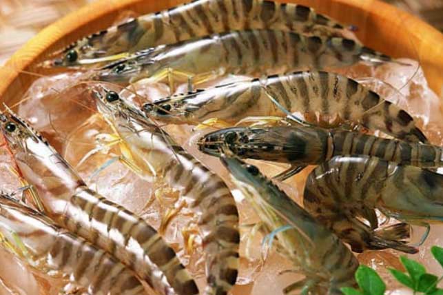 Tôm mua về đừng cho ngay vào tủ lạnh: Rắc thêm thứ này tôm ngọt ngon, không gẫy đầu, nửa năm vẫn nguyên vị