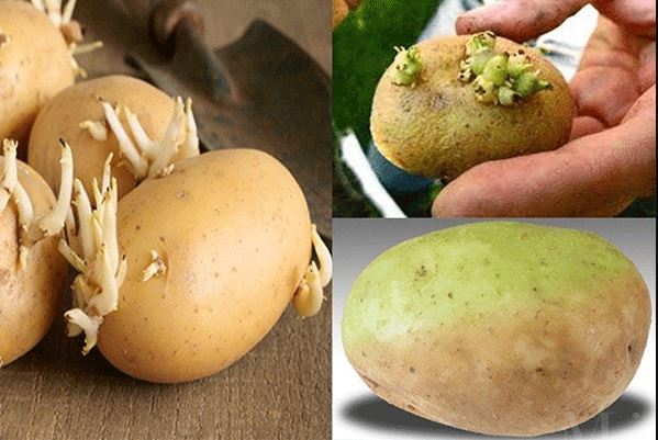 Điểm mặt các thực phẩm chứa chất cực độc, là ‘sát thủ’ thầm lặng trong nhà bếp ít ai chú ý