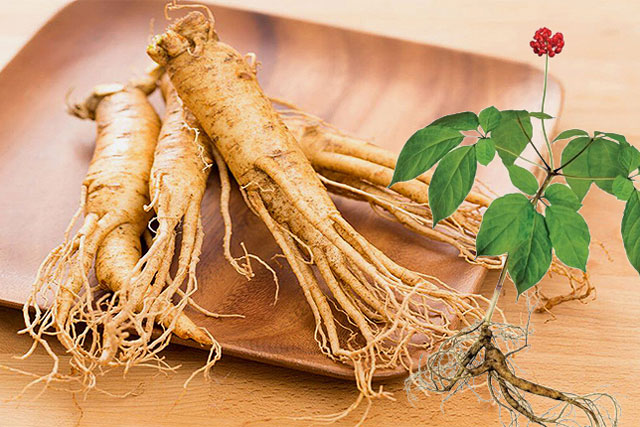 Nhân sâm "đại bổ" nhưng dùng không đúng lại hại sức khoẻ