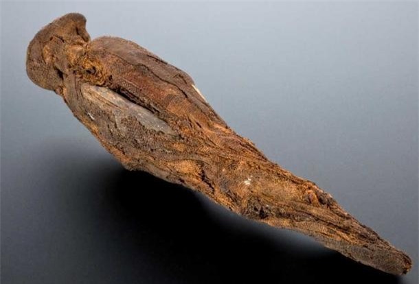 Phát hiện 15 xác ướp chim ưng không đầu trong ngôi đền Ai Cập cổ đại ảnh 2