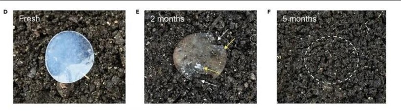 Pin làm từ vỏ cua có thể tái chế... 1000 lần ảnh 3