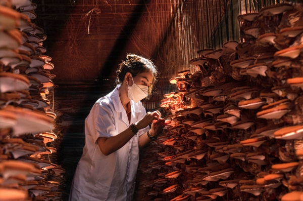 Viện IMRIC công bố kết quả Cuộc thi ảnh “Người Việt tin dùng hàng Việt” lần I năm 2022