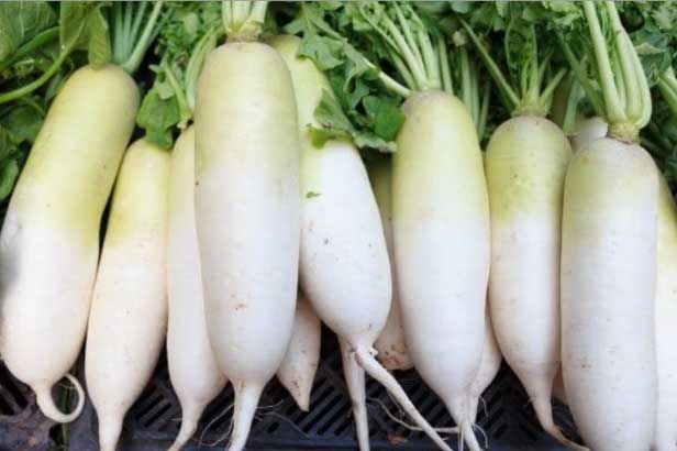 Mua củ cải đừng chăm chăm chọn củ to: Người trồng mách 5 mẹo hay, ít người biết