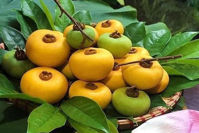 Quả thị chỉ nên ngửi chứ không nên ăn vì lý do đáng sợ này