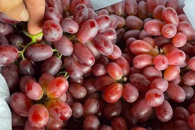 7 loại quả Trung Quốc đội lốt quả "sạch" được nhập về nhiều vô số kể, thèm đến mấy cũng đừng dại mua về