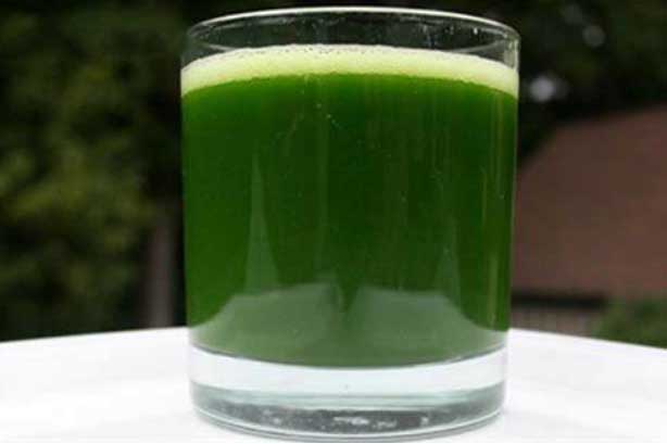 Chỉ cần ăn rau ngót theo đúng cách này: Đầu tuần 50kg, cuối tuần 45kg mỡ thừa ra đi mãi mãi