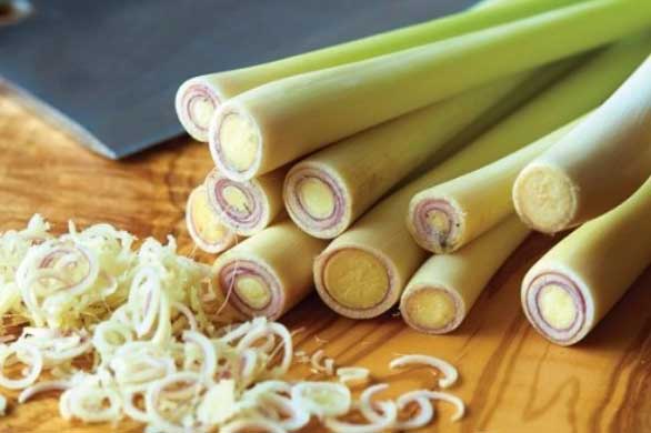 Loại thức uống giúp giải độc gan, thận siêu tốt lại dễ dàng pha chế, quý gấp ngàn lần nhân sâm