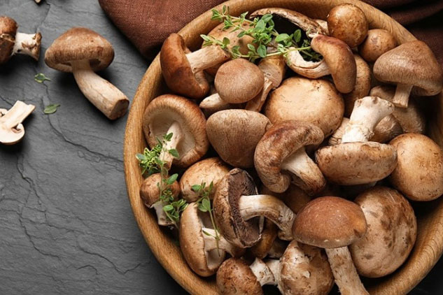 Lợi ích tuyệt vời mà nấm mang lại cho cơ thể