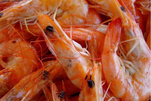 Đầu tôm chứa nhiều kim loại nặng, không ăn được? Chuyên gia giải đáp thắc mắc và chỉ ra 2 bộ phận bẩn nhất của tôm nên bỏ ngay