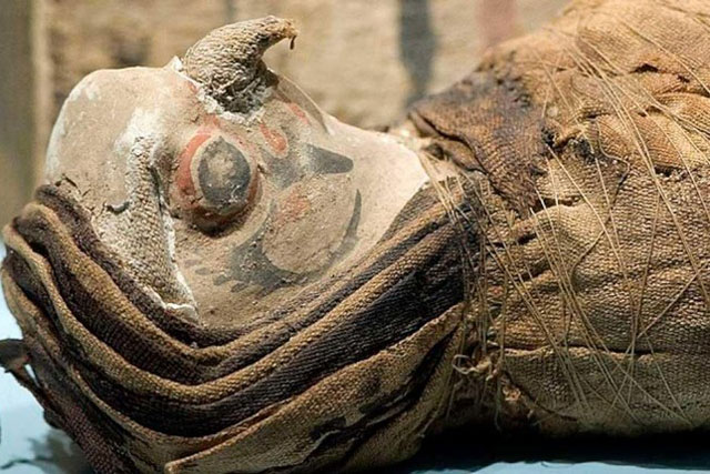 Phát hiện 15 xác ướp chim ưng không đầu trong ngôi đền Ai Cập cổ đại