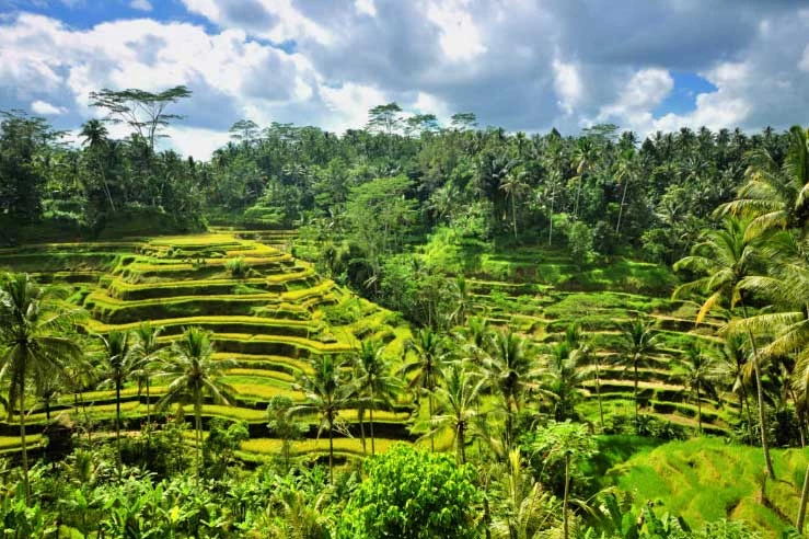 5. Ubud, Bali, Indonesia.