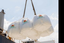 Tổng cục Dự trữ: Năm 2022 xuất cấp hơn 107.000 tấn gạo hỗ trợ địa phương