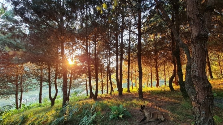 Thả hồn 'chill' cùng bản làng H’Mông thanh bình đẹp như tranh vẽ ở Vân Hồ - 4