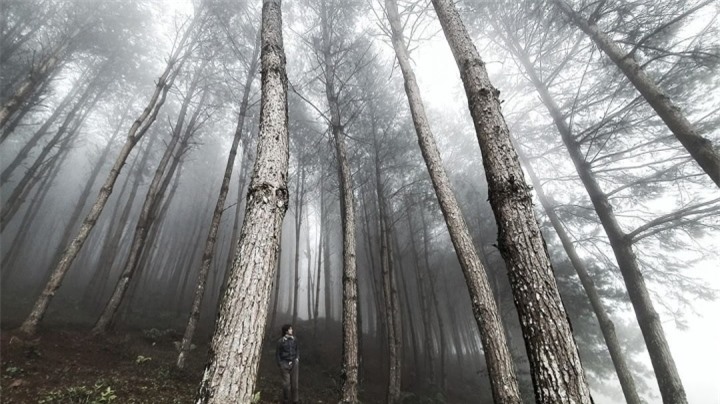 Thả hồn 'chill' cùng bản làng H’Mông thanh bình đẹp như tranh vẽ ở Vân Hồ - 6