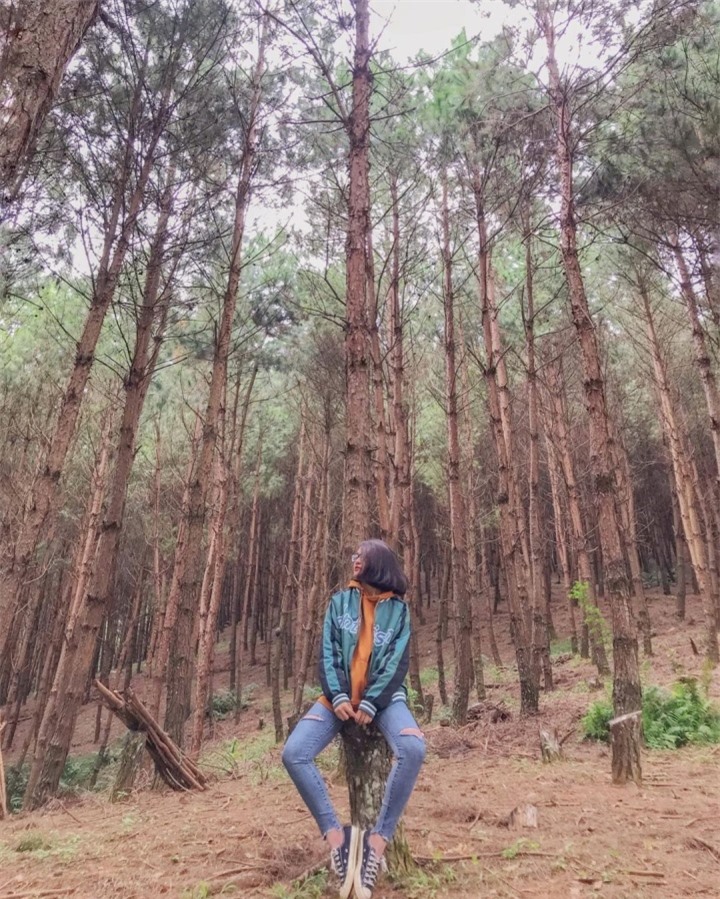 Thả hồn 'chill' cùng bản làng H’Mông thanh bình đẹp như tranh vẽ ở Vân Hồ - 7