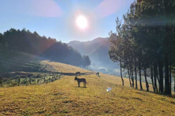 Thả hồn 'chill' cùng bản làng H’Mông thanh bình đẹp như tranh vẽ ở Vân Hồ, Sơn La