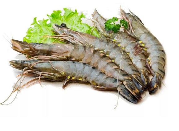 Mua tôm phải cẩn thận 4 dấu hiệu này, đừng ham rẻ kẻo lỗ nặng