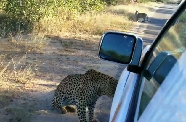 Clip: Báo đòi “xơi tái” ôtô để khoe mẽ với bạn tình