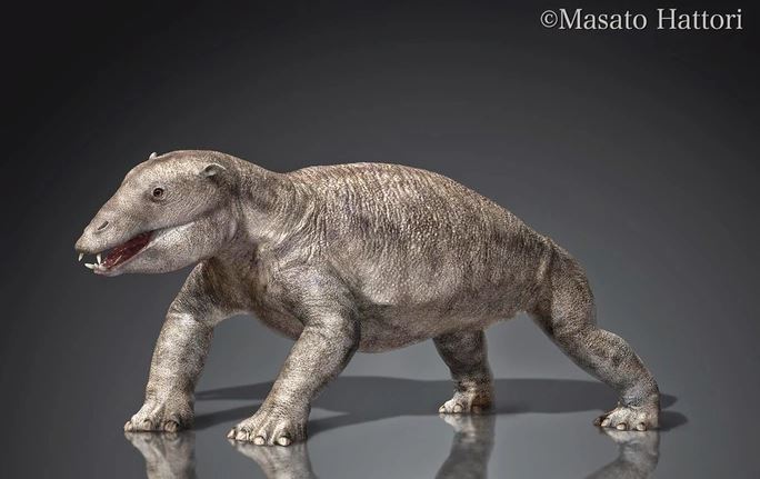 Khám phá loài hà mã khổng lồ cổ đại sở hữu những chiếc răng sắc như dao cạo!