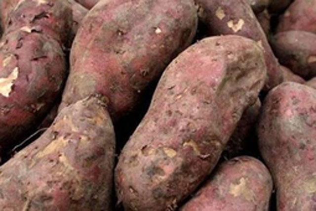 2 loại củ là "thiên dịch của ung thư", vị thì ngon giá lại rẻ bèo, ăn một ít mỗi ngày sẽ giúp bạn tránh xa căn bệnh quái ác này