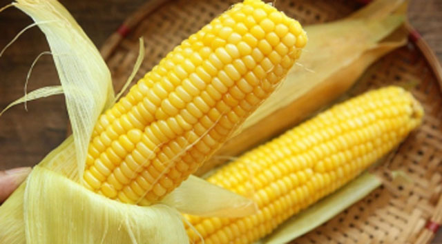 Luộc ngô chỉ cho nước là sai, thêm 2 thứ gia vị này đảm bảo hạt ngô mẩy ăn cực ngọt, ai cũng mê