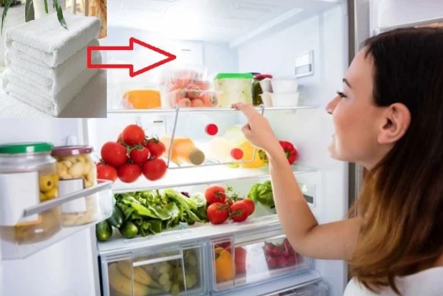 5 mẹo giúp khử mùi hôi tủ lạnh dễ dàng, đơn giản và tiết kiệm