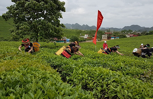 Năm 2023: Đổi mới cơ chế hỗ trợ doanh nghiệp nông nghiệp mở rộng thị trường