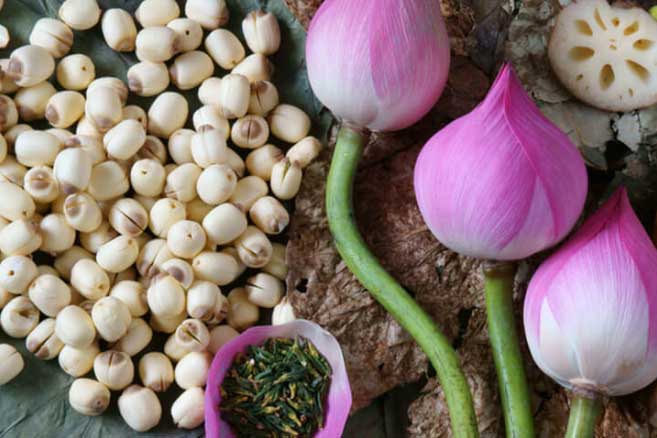 Bất ngờ với 6 lợi ích tuyệt vời của hạt sen, có 2 điều chị em cực thích