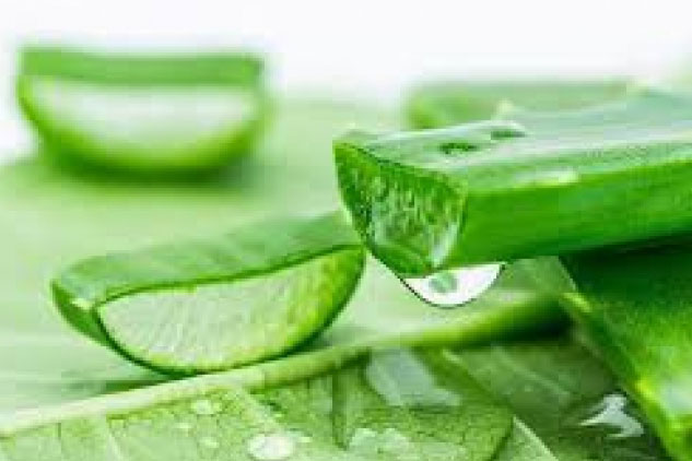 Bật mí cách làm mờ sẹo mụn với nguyên liệu sẵn có tại nhà