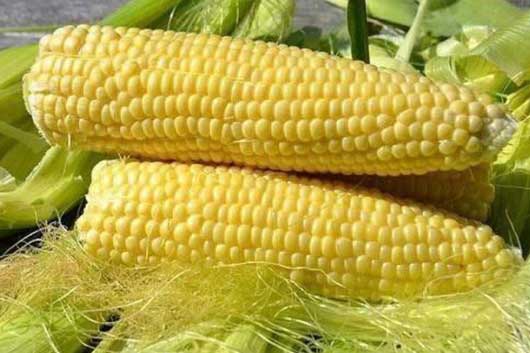 Ngô luộc ngon ngọt, hấp dẫn nhưng có 5 nhóm người không nên ăn