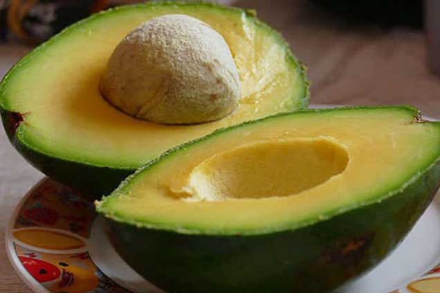 Những lợi ích quý giá của quả bơ mà bạn không thể bỏ lỡ