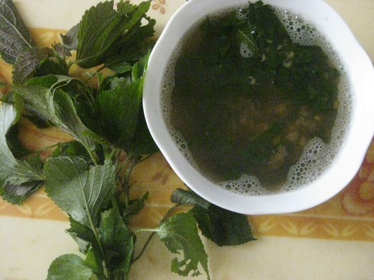 Uống nước lá tía tô theo cách này tàn nhang bay hết cực nhanh