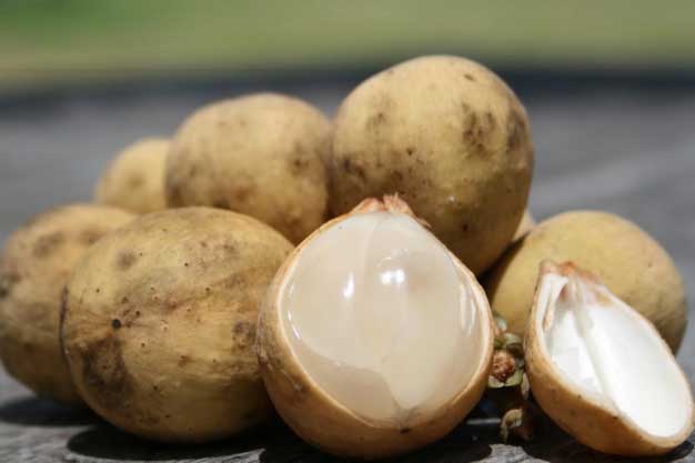 Muốn chọn bòn bon ngon, không hóa chất, chị em nhất định phải biết 1 điều