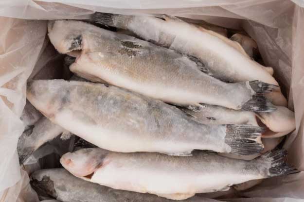 Đi mua bán, tránh xa 4 loại cá này vì 'bẩn nhất chợ', chẳng những không có dinh dưỡng mà còn gây bệnh