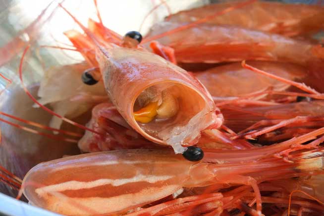 Tôm cực giàu canxi nhưng có 3 bộ phận mang 'độc', chớ ăn vào