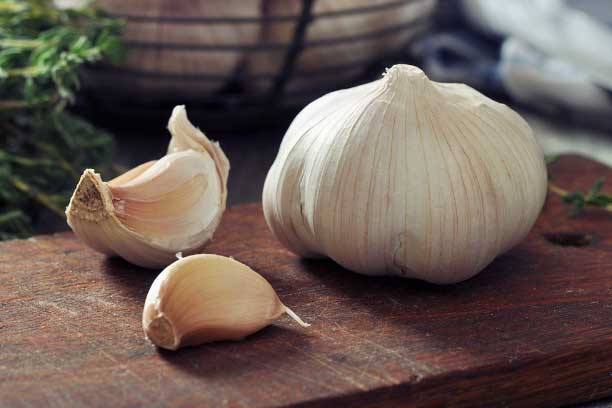 Ăn tỏi rất tốt nhưng đây là 5 thực phẩm "đại kị" cần tránh ăn cùng kẻo mang thêm bệnh vào người