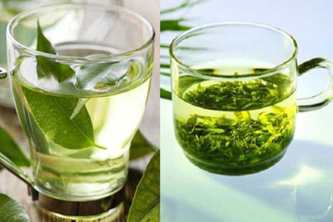 Uống nước chè mỗi ngày giúp giảm cân, ngăn ngừa ung thư