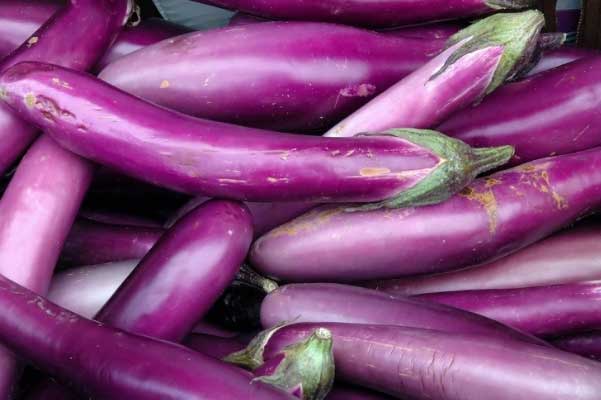 Cà tím giúp giảm cân, tăng cường trí não nhưng muốn chọn được quả tươi ngon, không bị đắng thì phải nhớ điều này