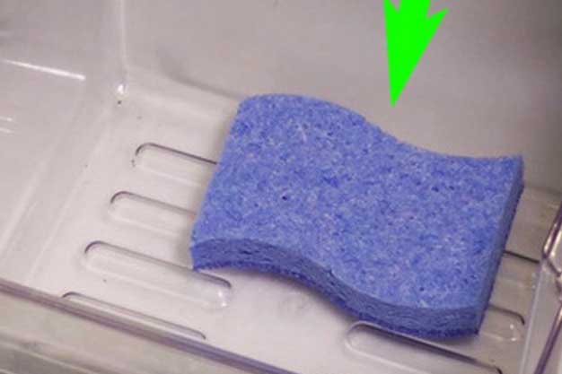 Đặt miếng bọt biển trong tủ lạnh, sáng hôm sau điều kỳ diệu xảy ra