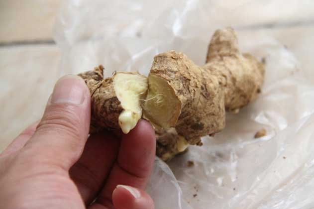 10 bộ phận cực độc của các loại rau củ quen thuộc, ăn vào gan hỏng, thận suy, cả nhà nhập viện