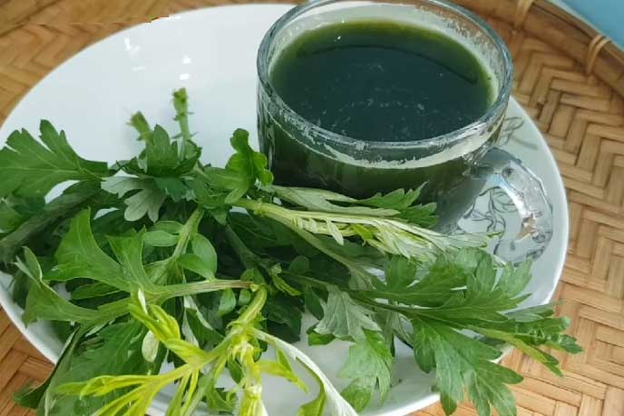 Lợi ích bất ngờ của ngải cứu với sức khoẻ, đặc biệt là với phụ nữ