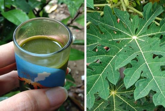 &quot;Ti&#xEA;n d&#x1B0;&#x1EE3;c&quot; cho s&#x1EE9;c kh&#x1ECF;e m&#xE0; ai c&#x169;ng &#x111;ang th&#x1EDD; &#x1A1;, n&#xE9;m b&#x1ECF;