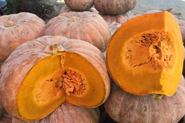 8 thực phẩm làm sạch đường ruột, giúp nhuận tràng, hết sạch táo bón không lo bệnh tật