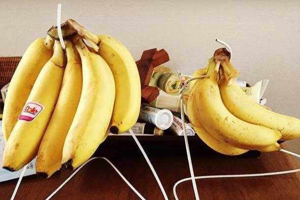 Loại trái cây tuyệt đối không nên bảo quản trong tủ lạnh kẻo tự sinh độc tố gây hại